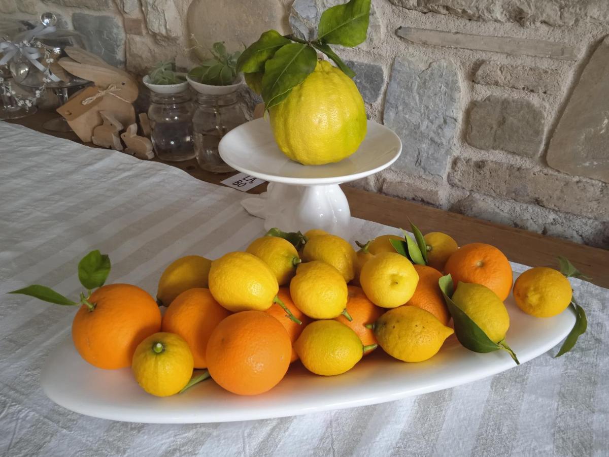 Il Fienile Fagagna Exterior foto